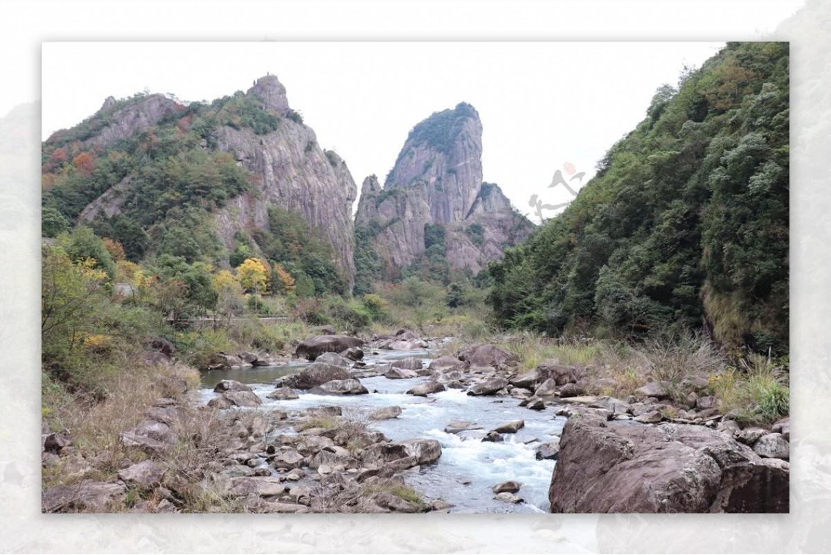 山水山水树叶树