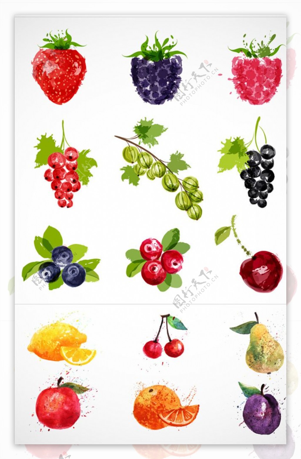 水果彩绘草莓插画