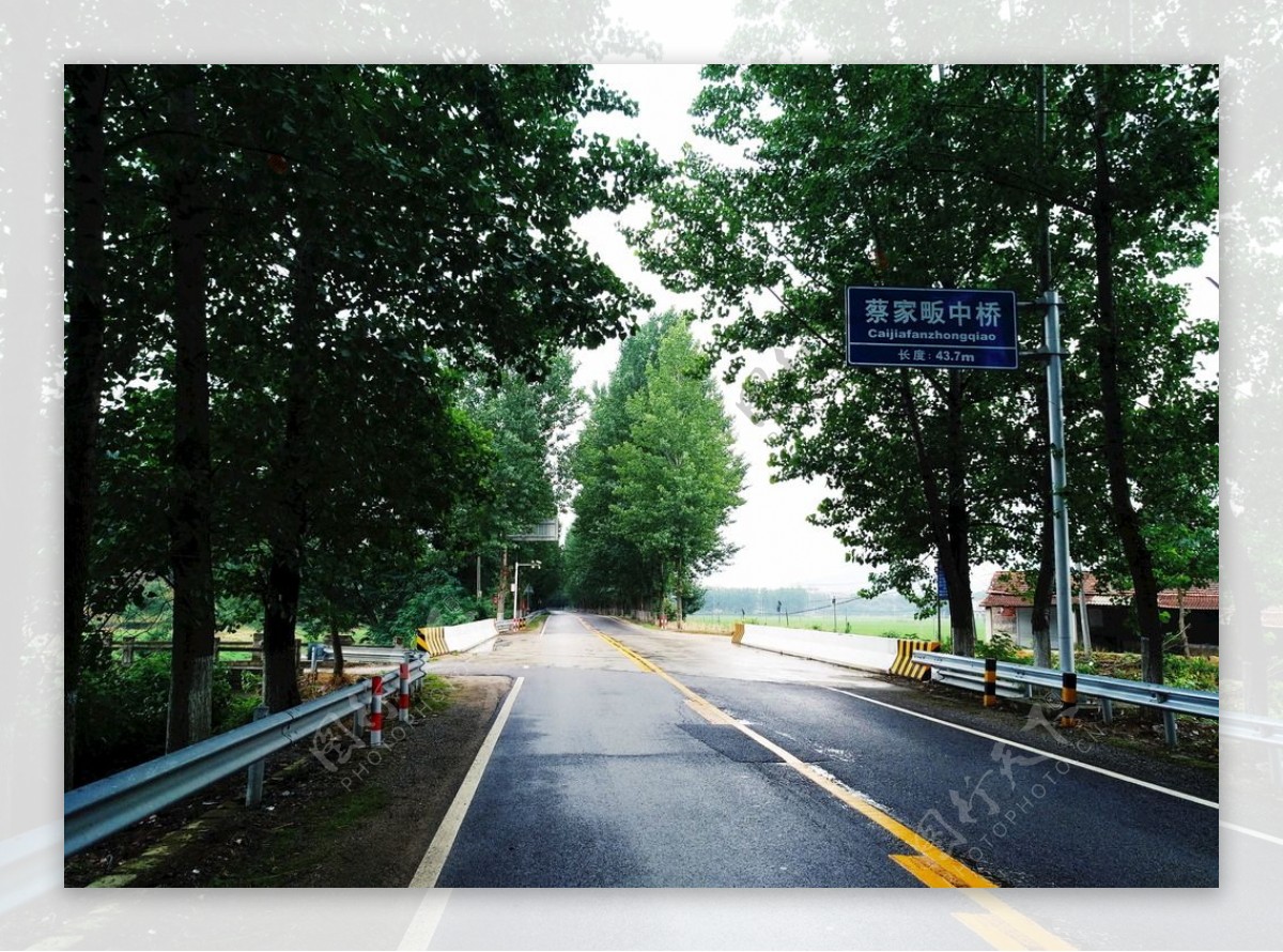 道路