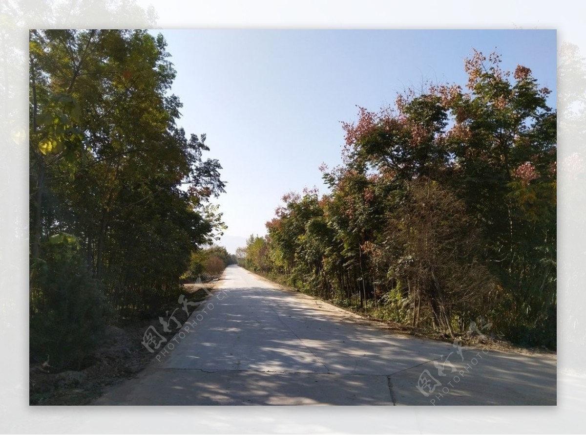 乡村道路风景