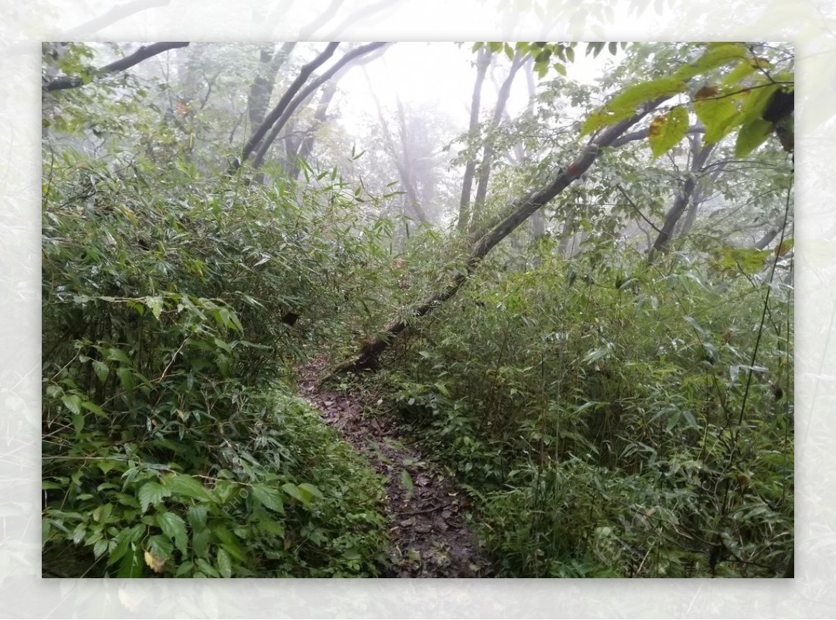 深山里的风景