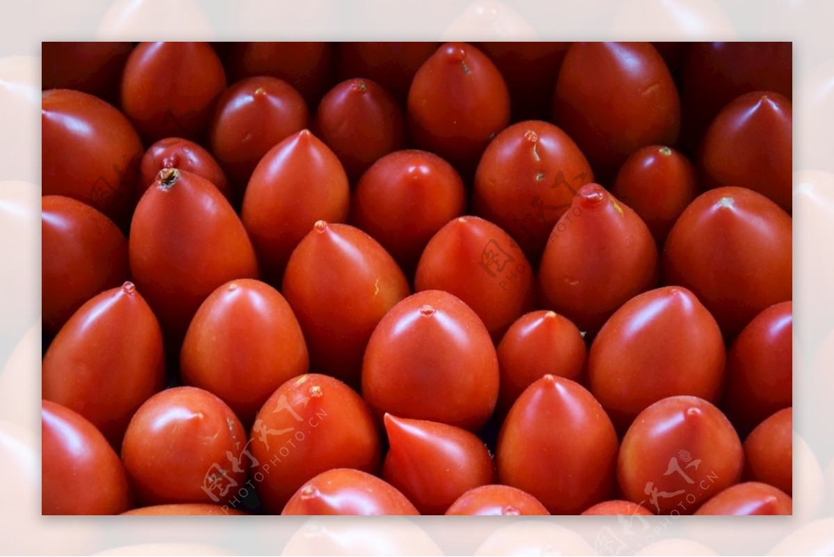 红色小番茄背景