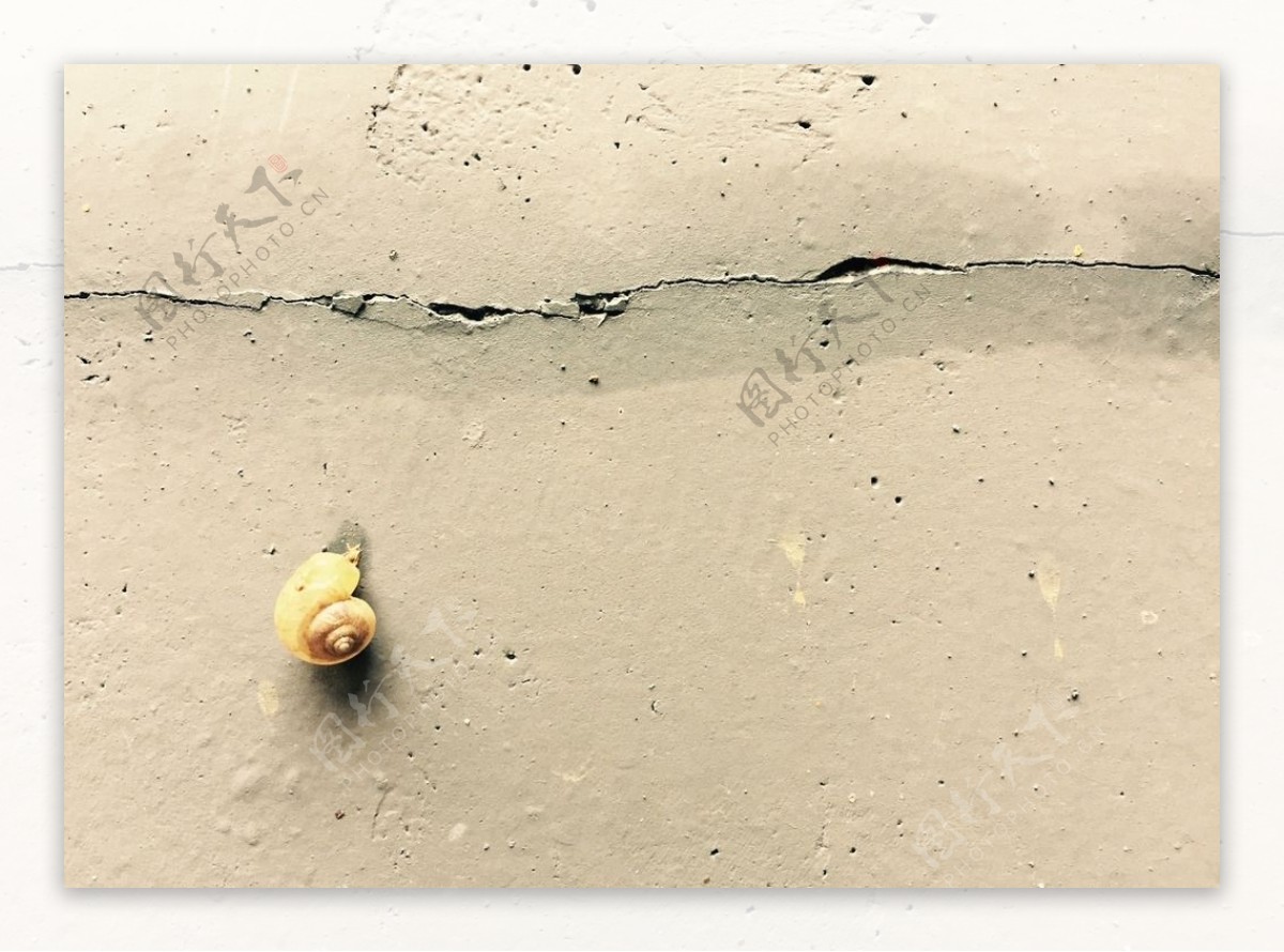 小蜗牛爬墙