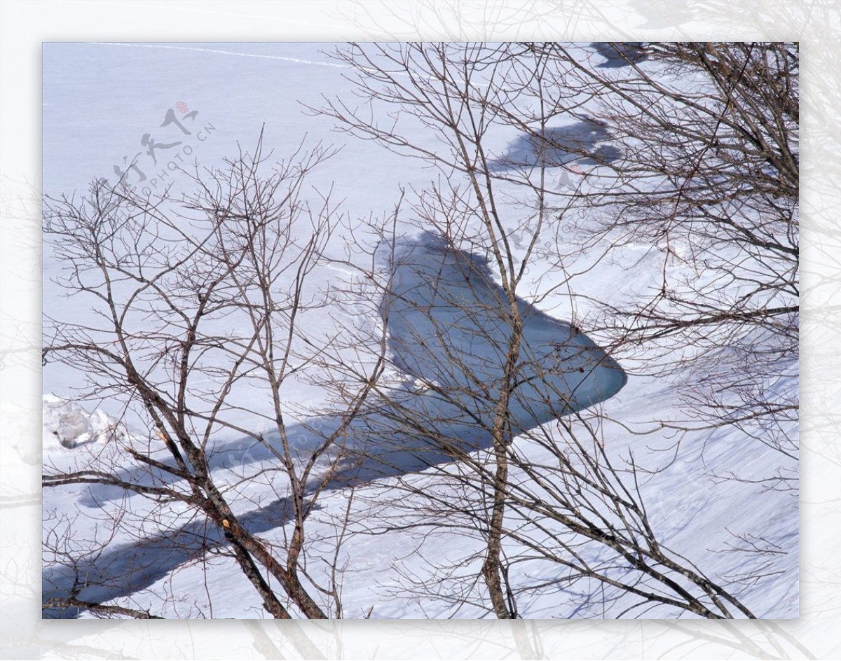 冬天雪景