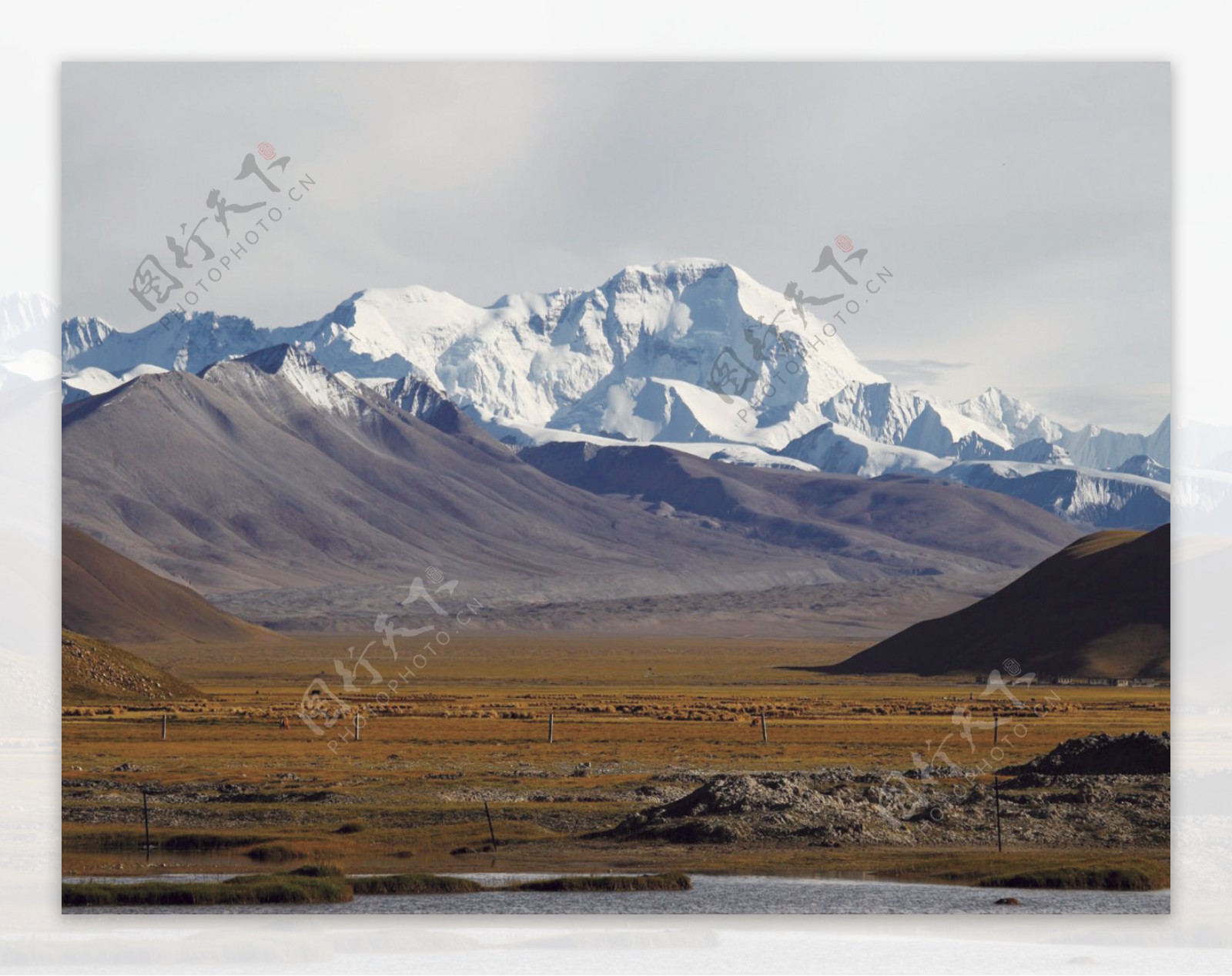 西藏希夏邦马峰远景
