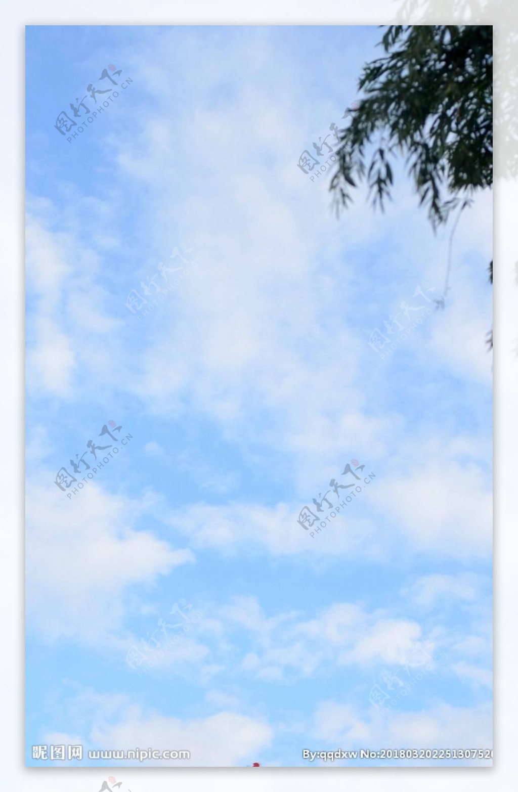 蓝天白云大树