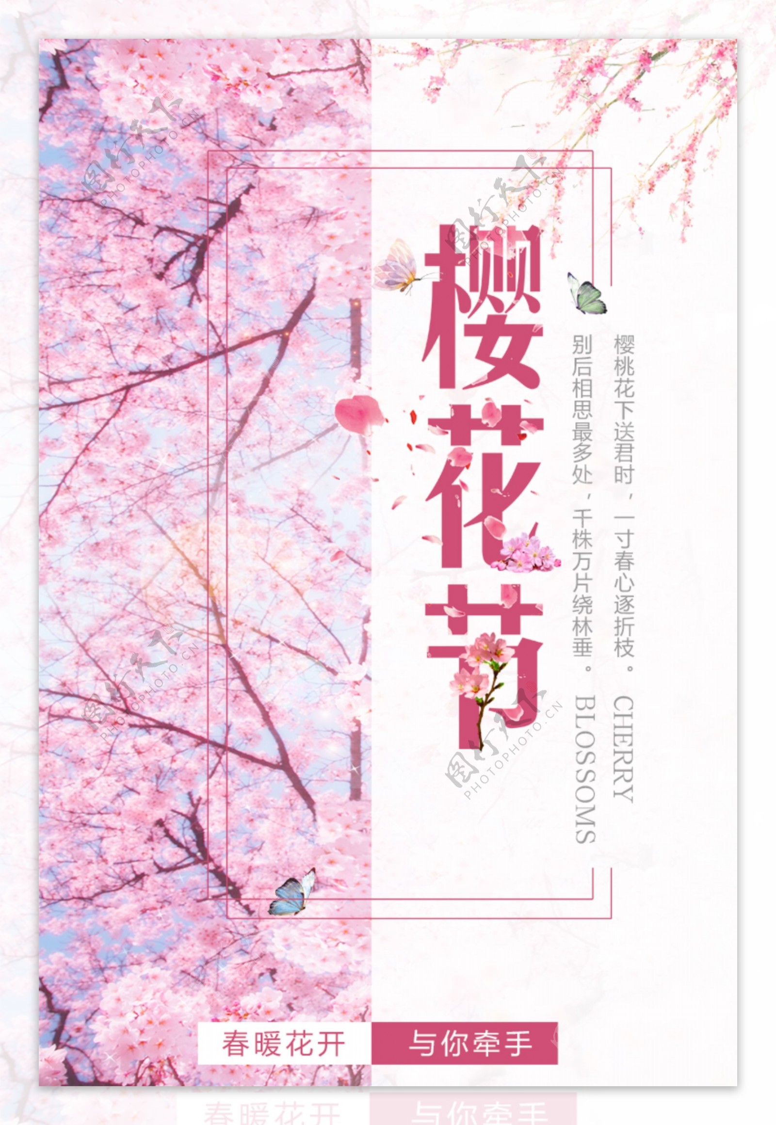 赏樱花樱花节旅游海报