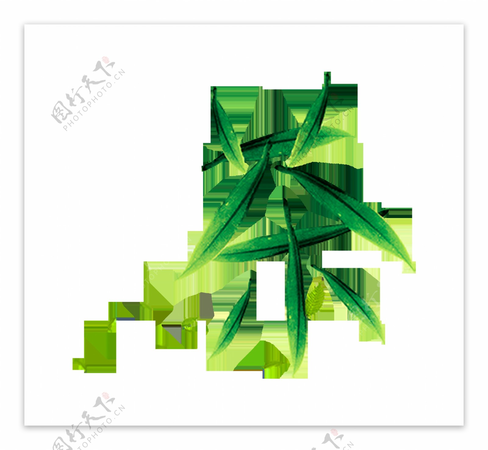 绿叶艺术茶字字体设计