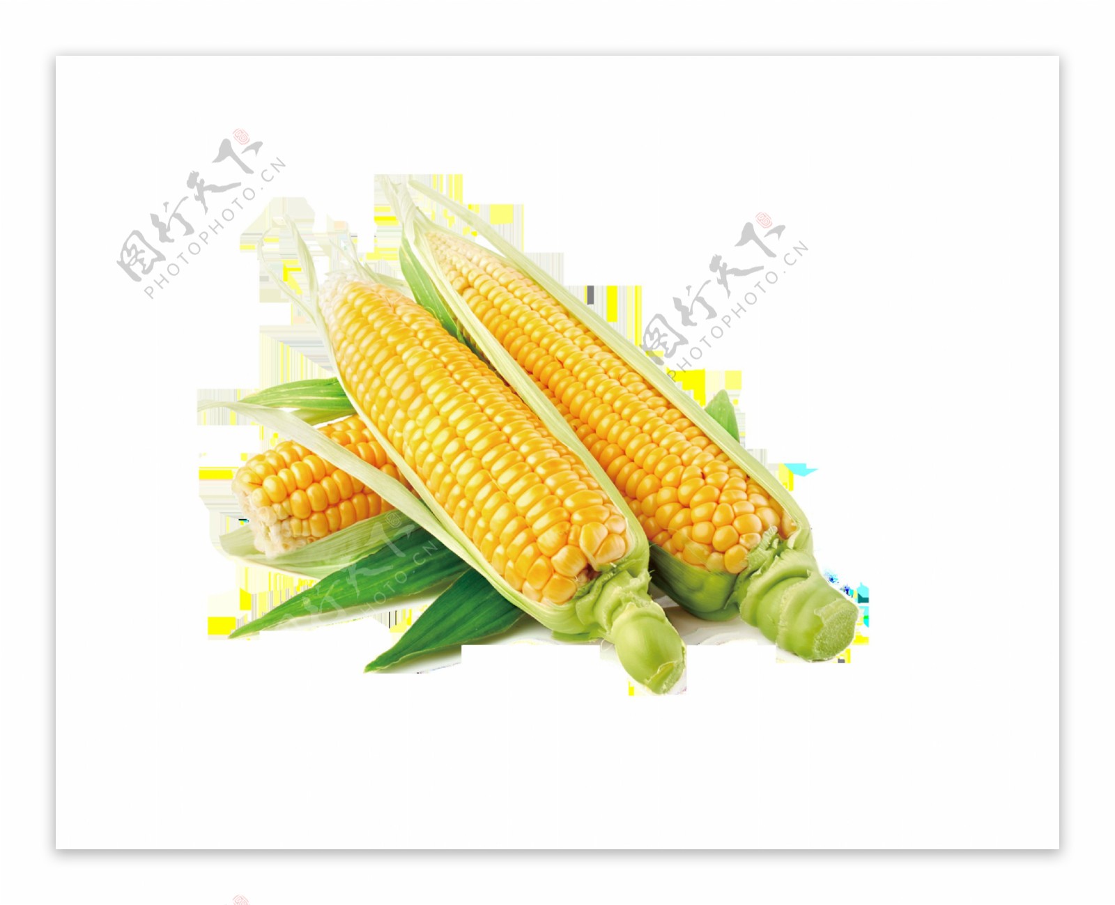 有机蔬菜玉米装饰素材