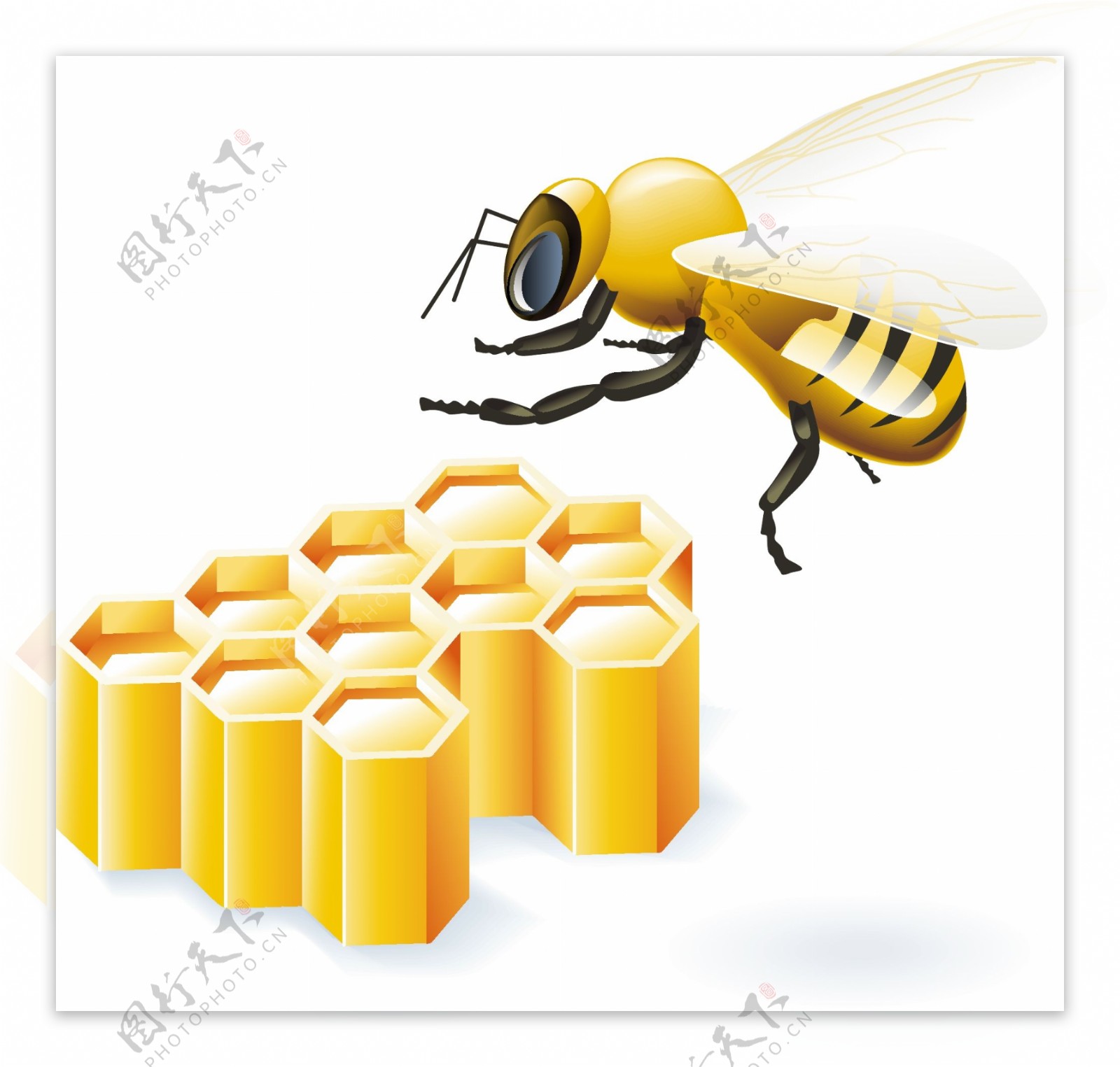 辛勤采蜜的蜜蜂矢量图