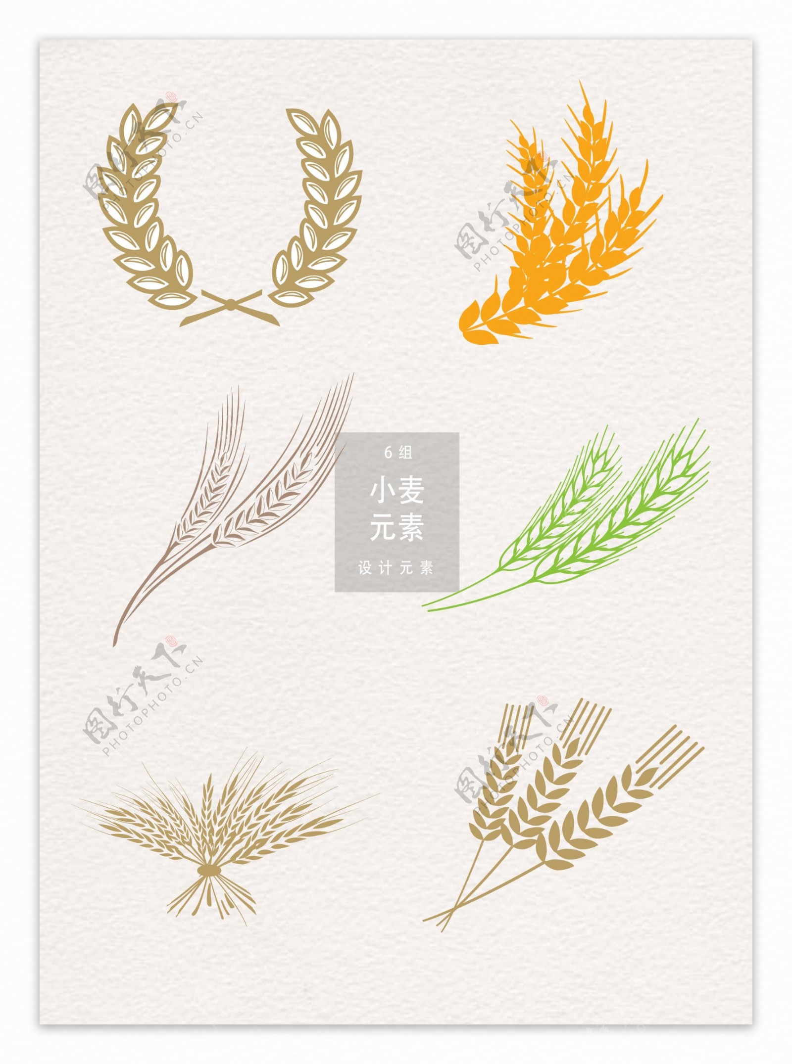 小麦设计装饰图案