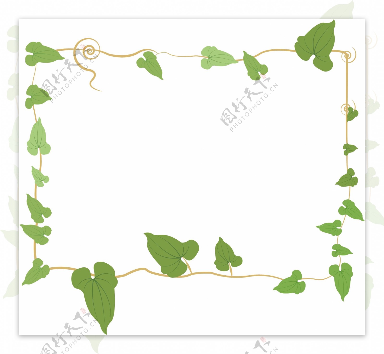 手绘清新绿色叶子藤蔓植物边框