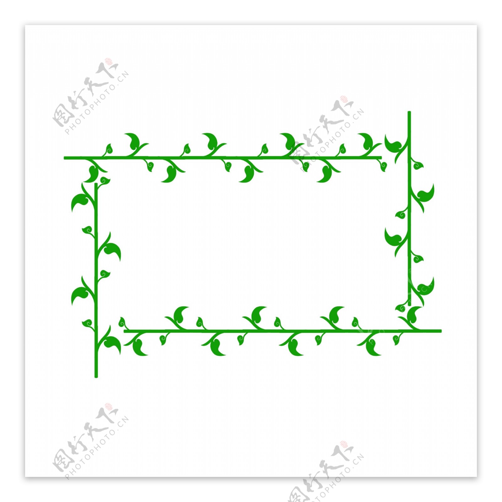 绿色植物花型边框