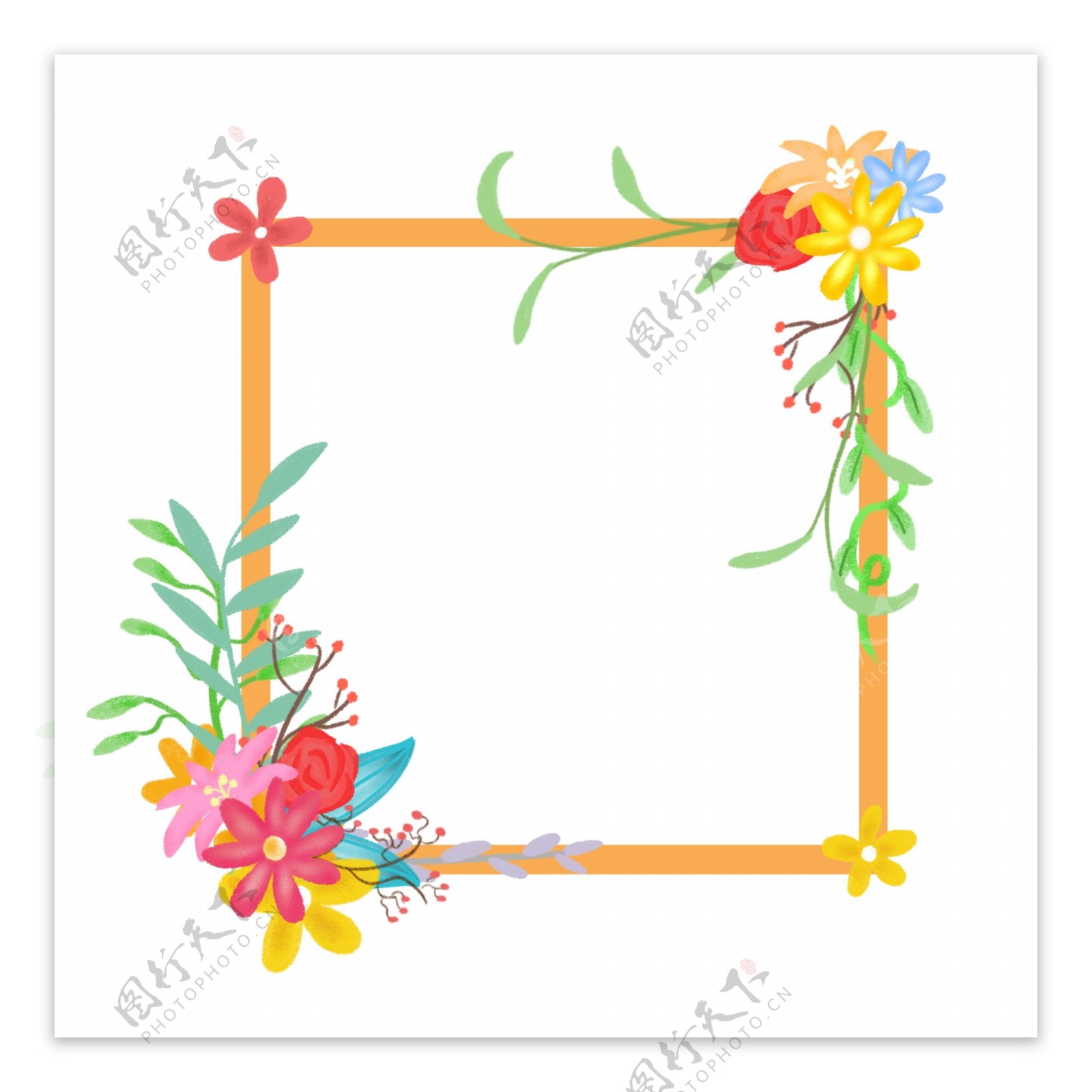 手绘花朵花卉植物绿植边框素材4