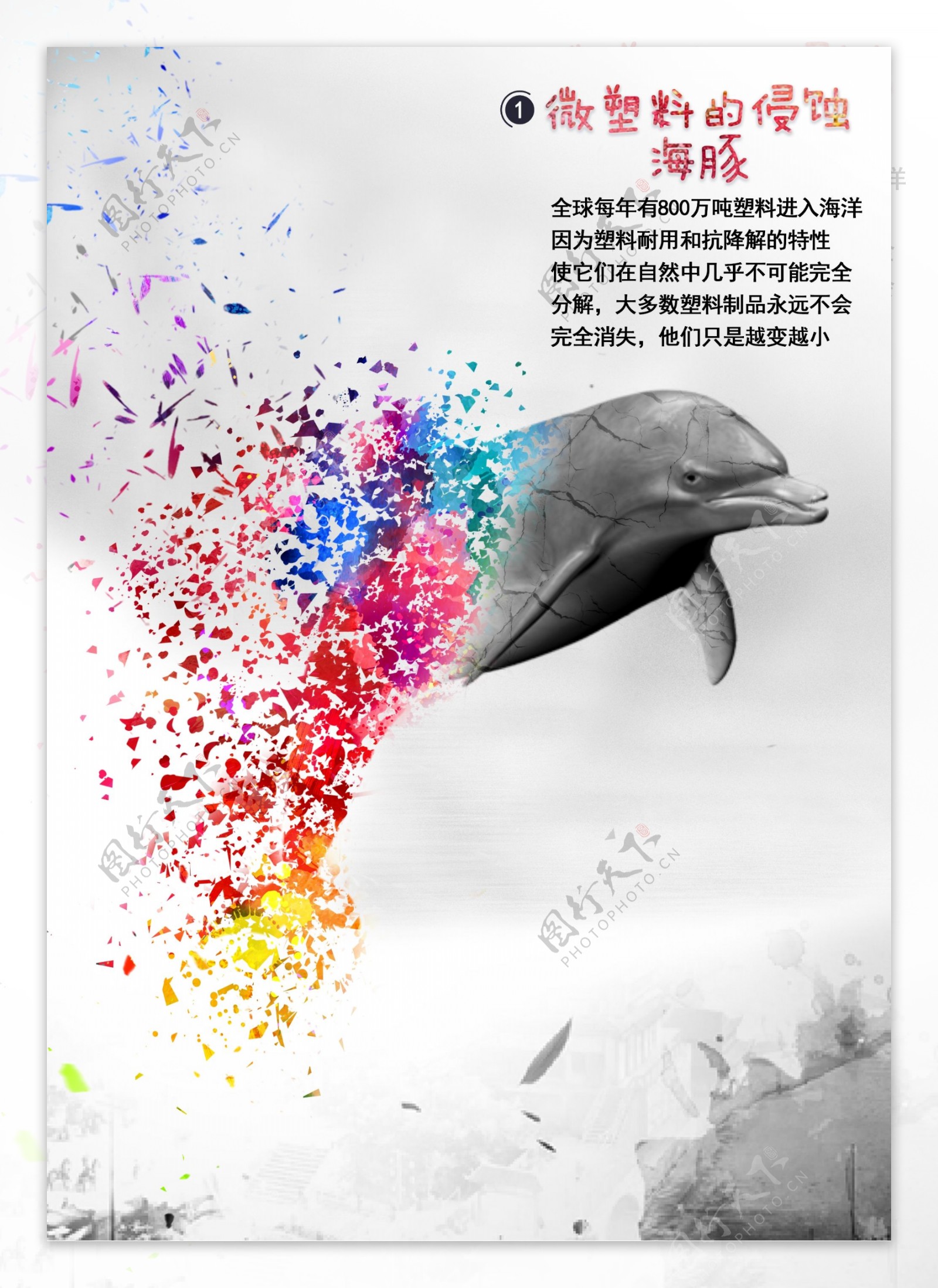 微塑料的侵蚀海豚海报