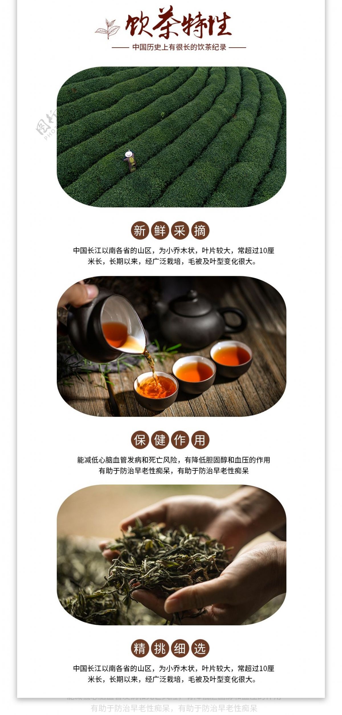 电商详情页简约中国风新春茶红茶绿叶