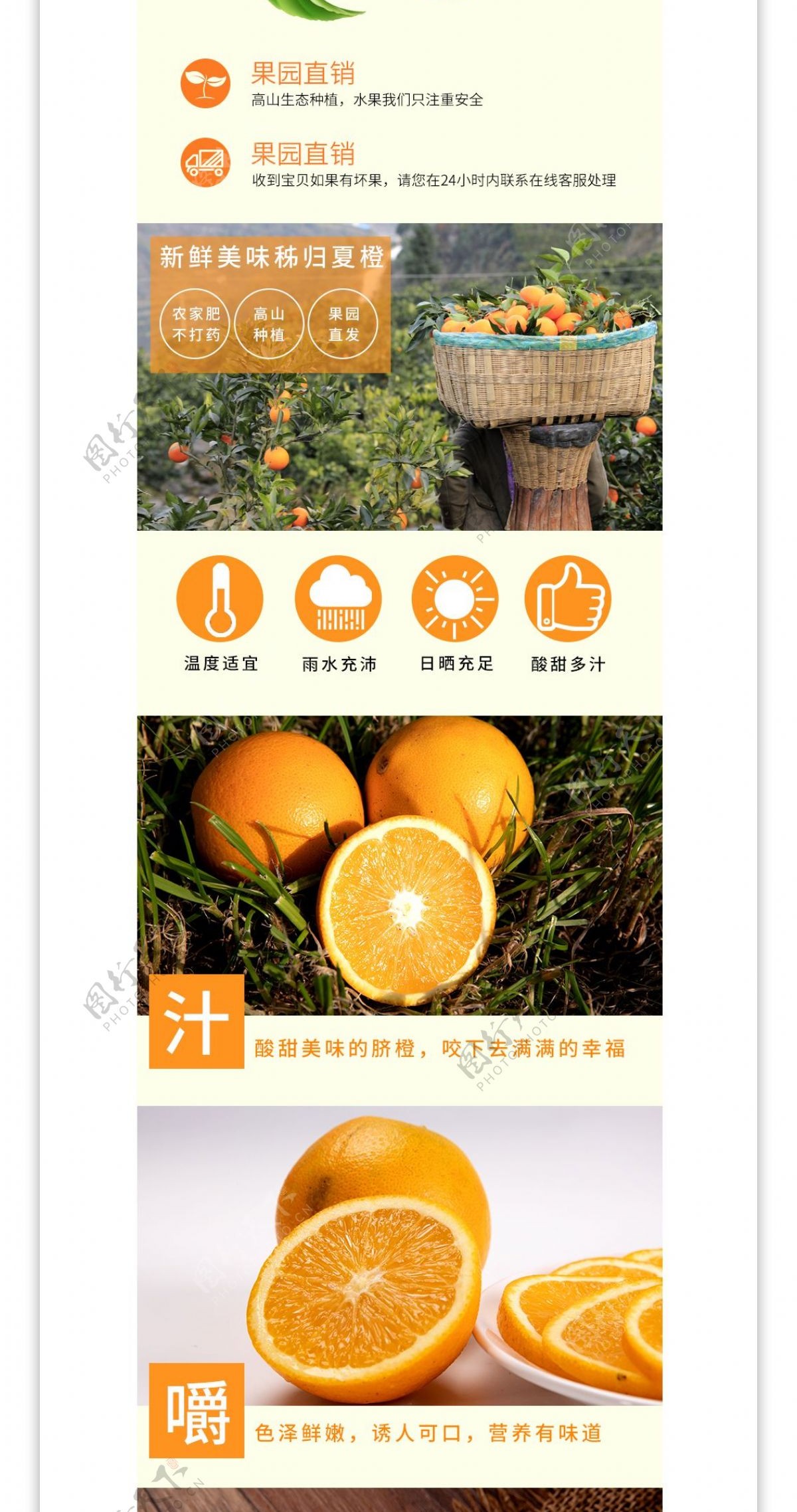 赣南脐橙夏季水果清新可爱淘宝详情页