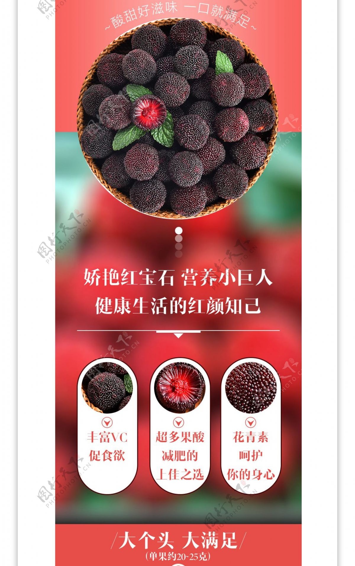东魁杨梅水果美食电商淘宝红色小清新详情页