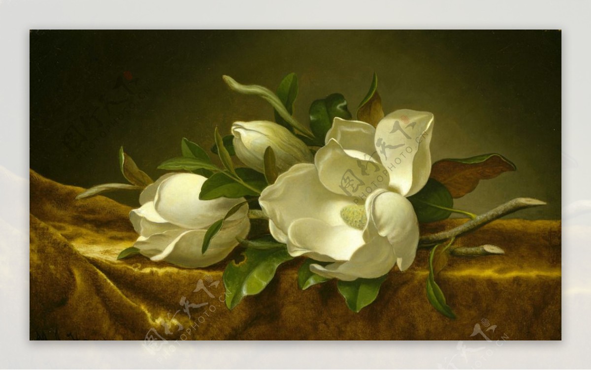 静物花卉油画
