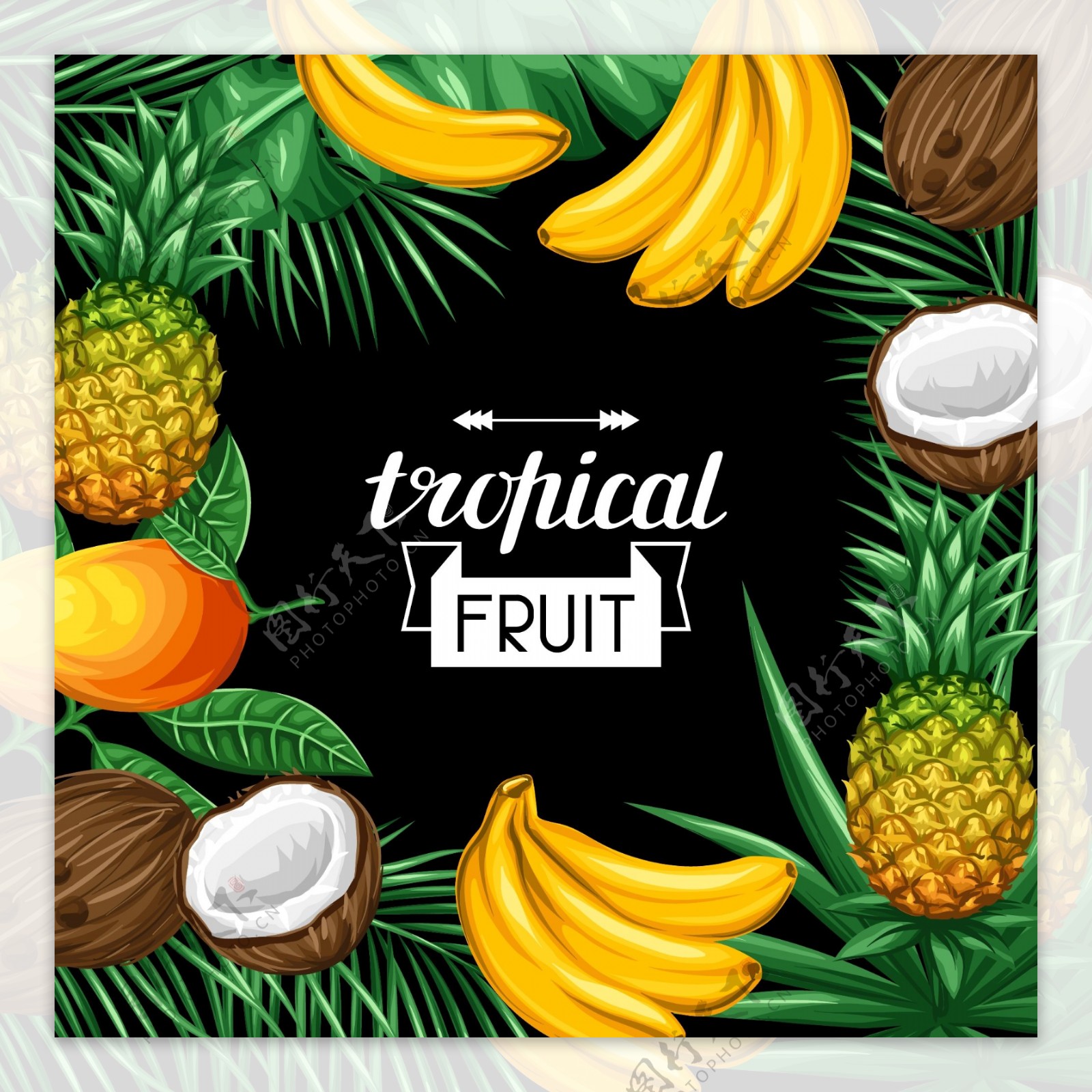 彩绘热带水果框架设计矢量素材.
