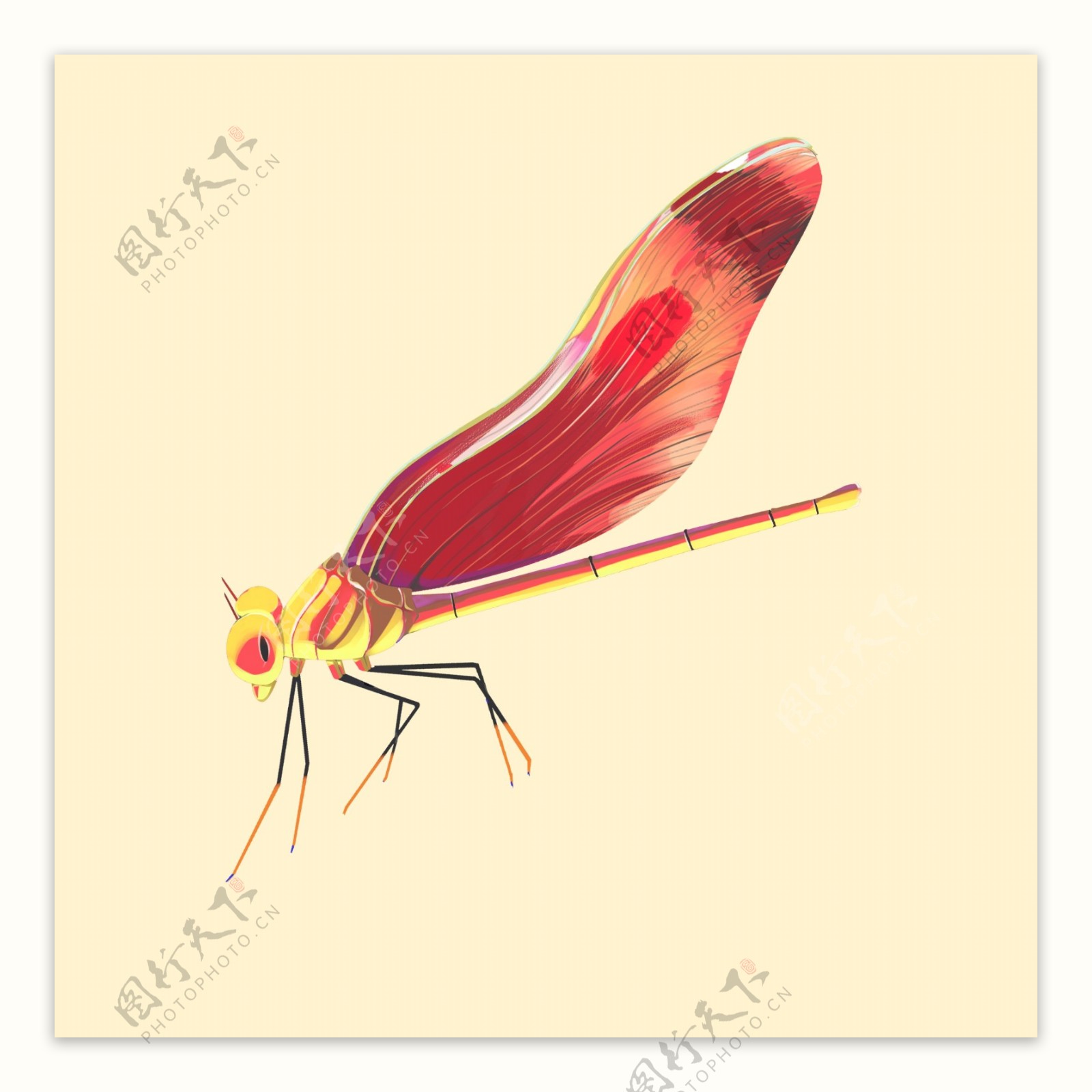 中国风蜻蜓飞行昆虫插图素材手绘元素