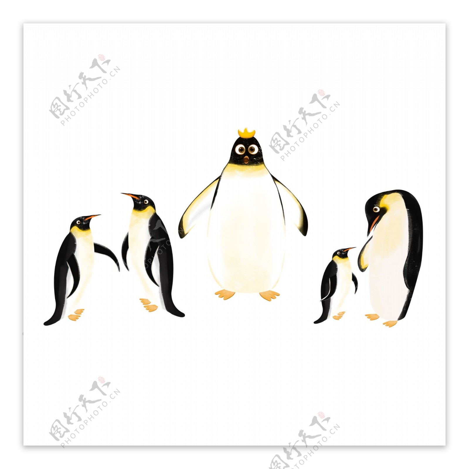 卡通一群企鹅冬季动物设计
