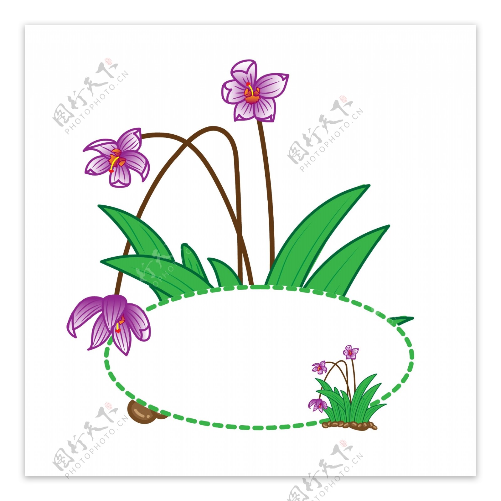 矢量兰花植物边框可商用插画元素