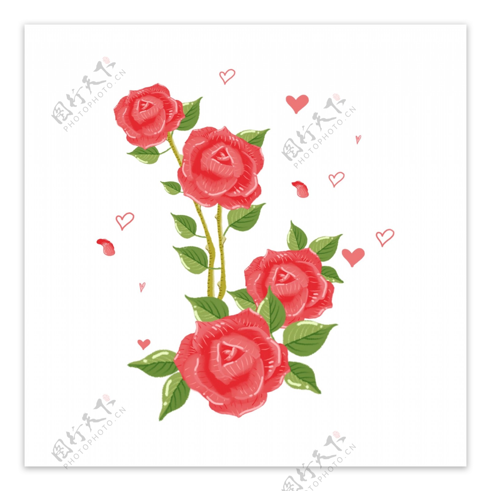 花手绘浪漫玫瑰花植物花卉花朵清新情人节