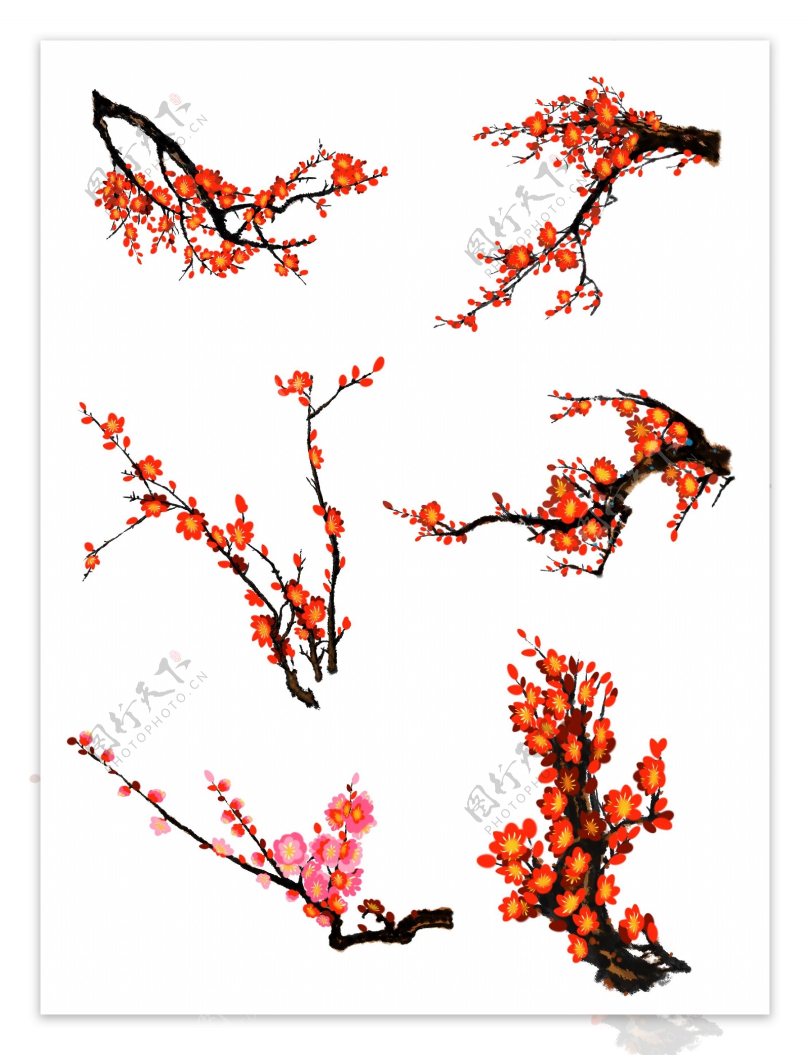 中国风手绘花卉PS分层插画梅花素材套图