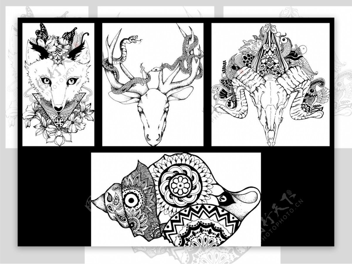 黑白手绘装饰失量画动物系列