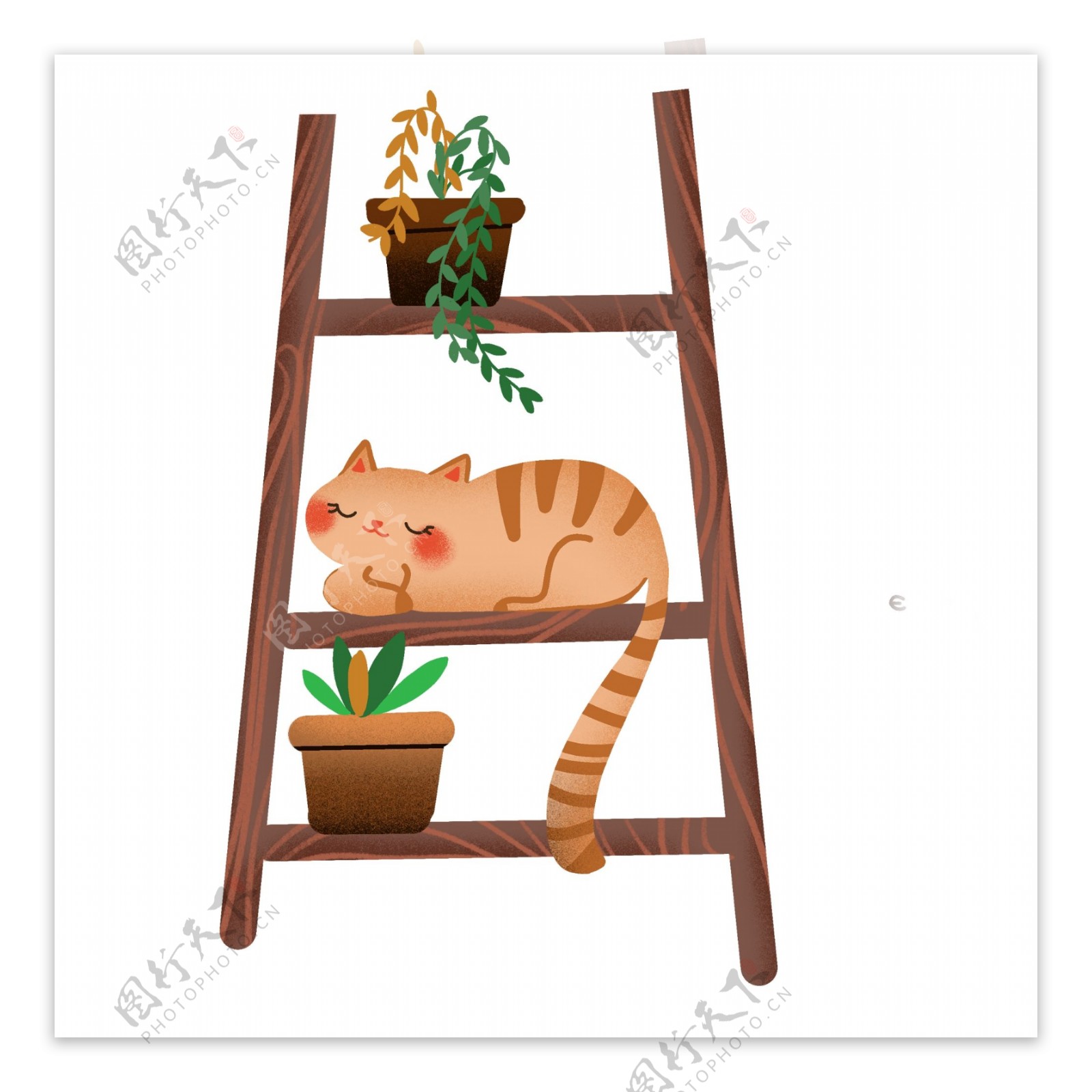 彩绘梯子的猫和盆栽