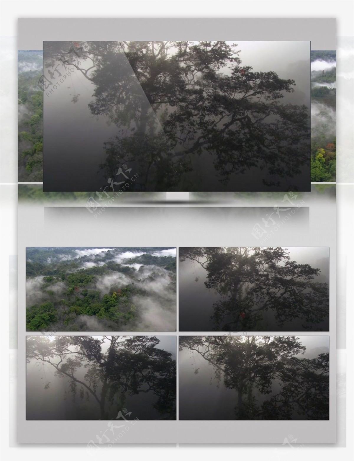 热带雨林晨雾视频音效