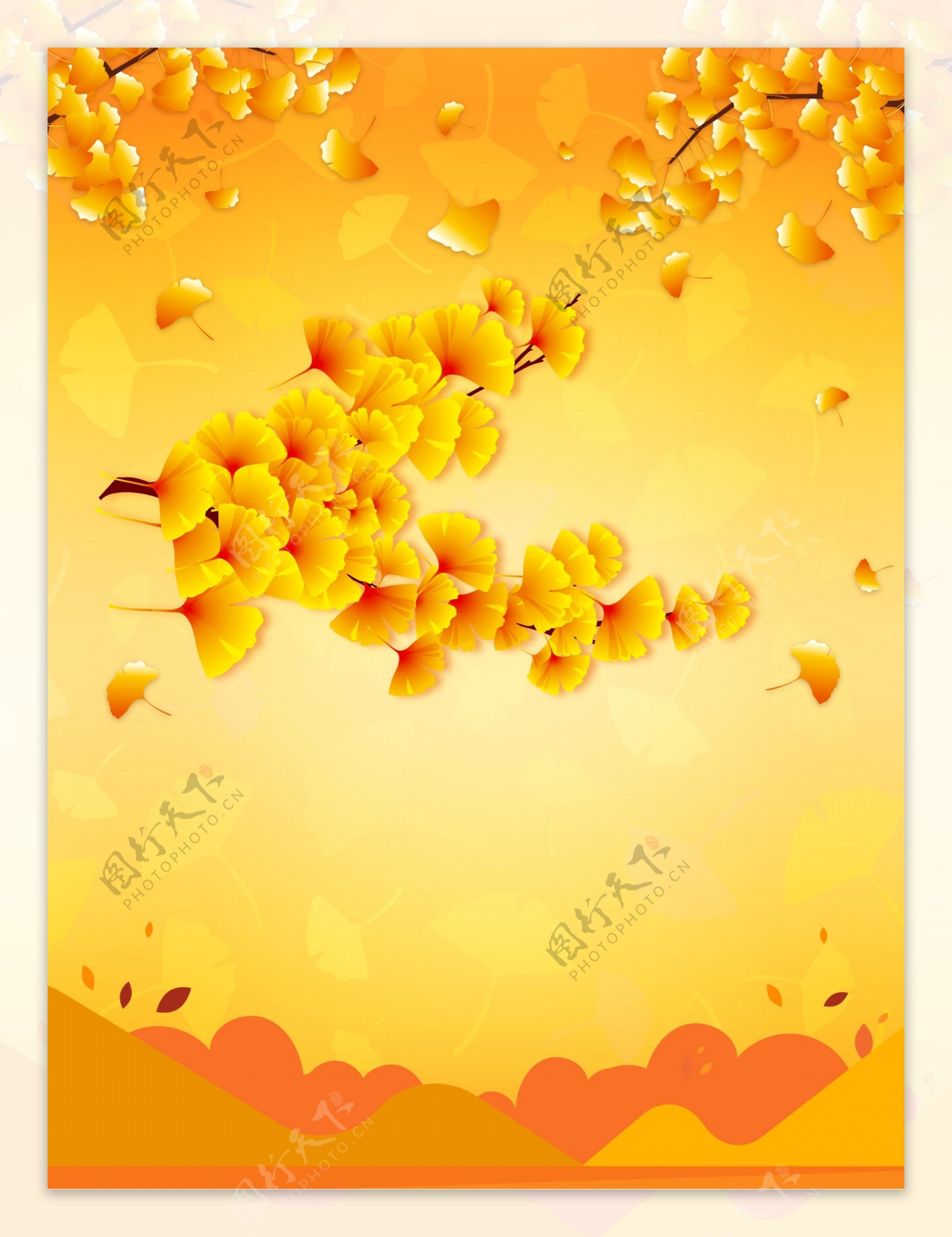 秋季银杏树叶背景