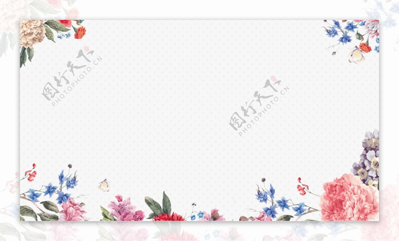 小清新植物花卉边框背景图