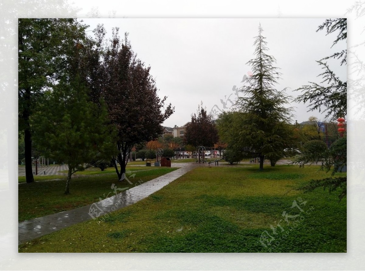 雨天的公园美景