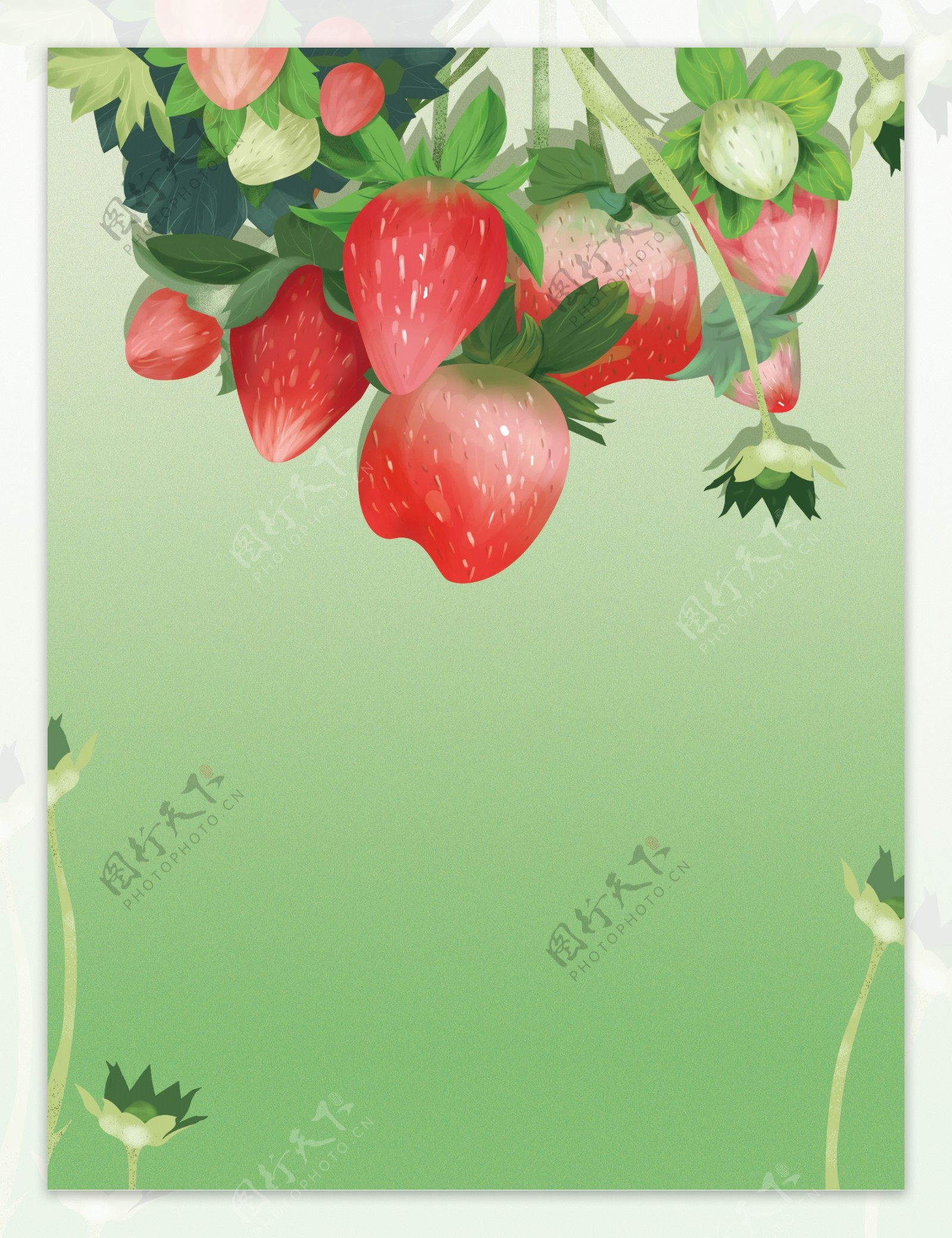 清新草莓背景设计