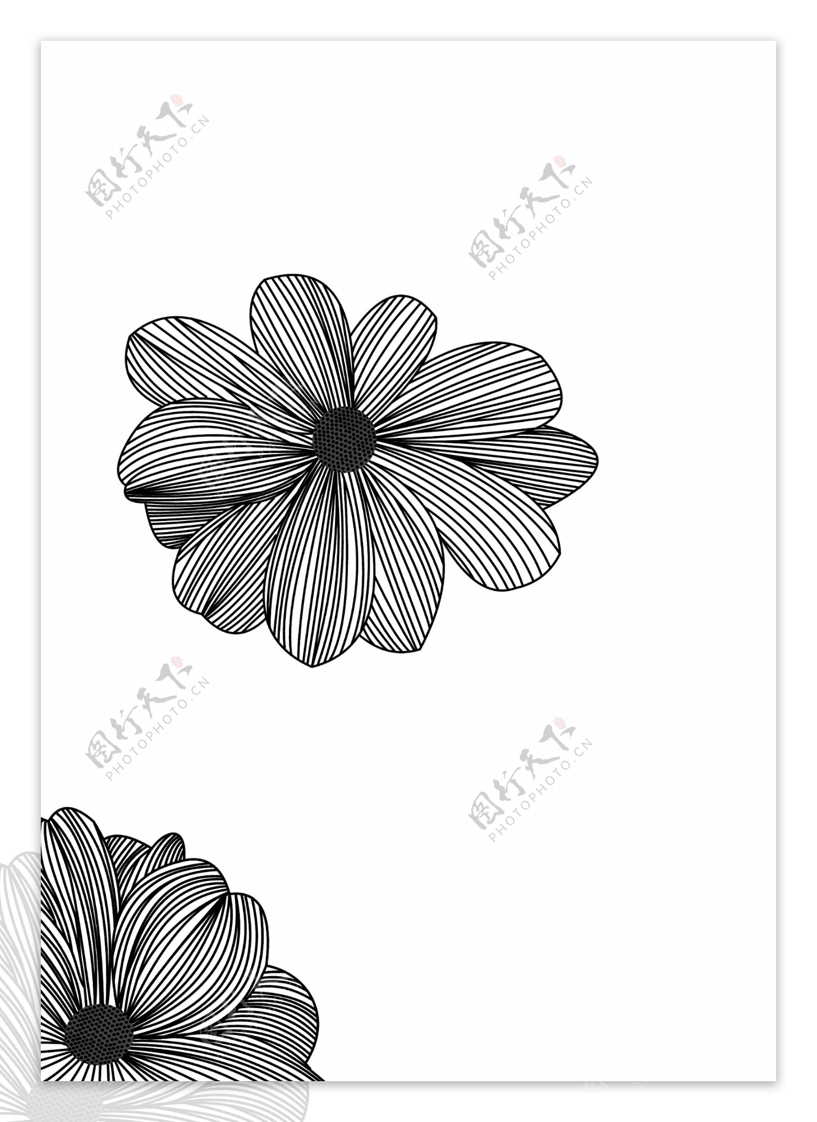 矢量黑白花朵