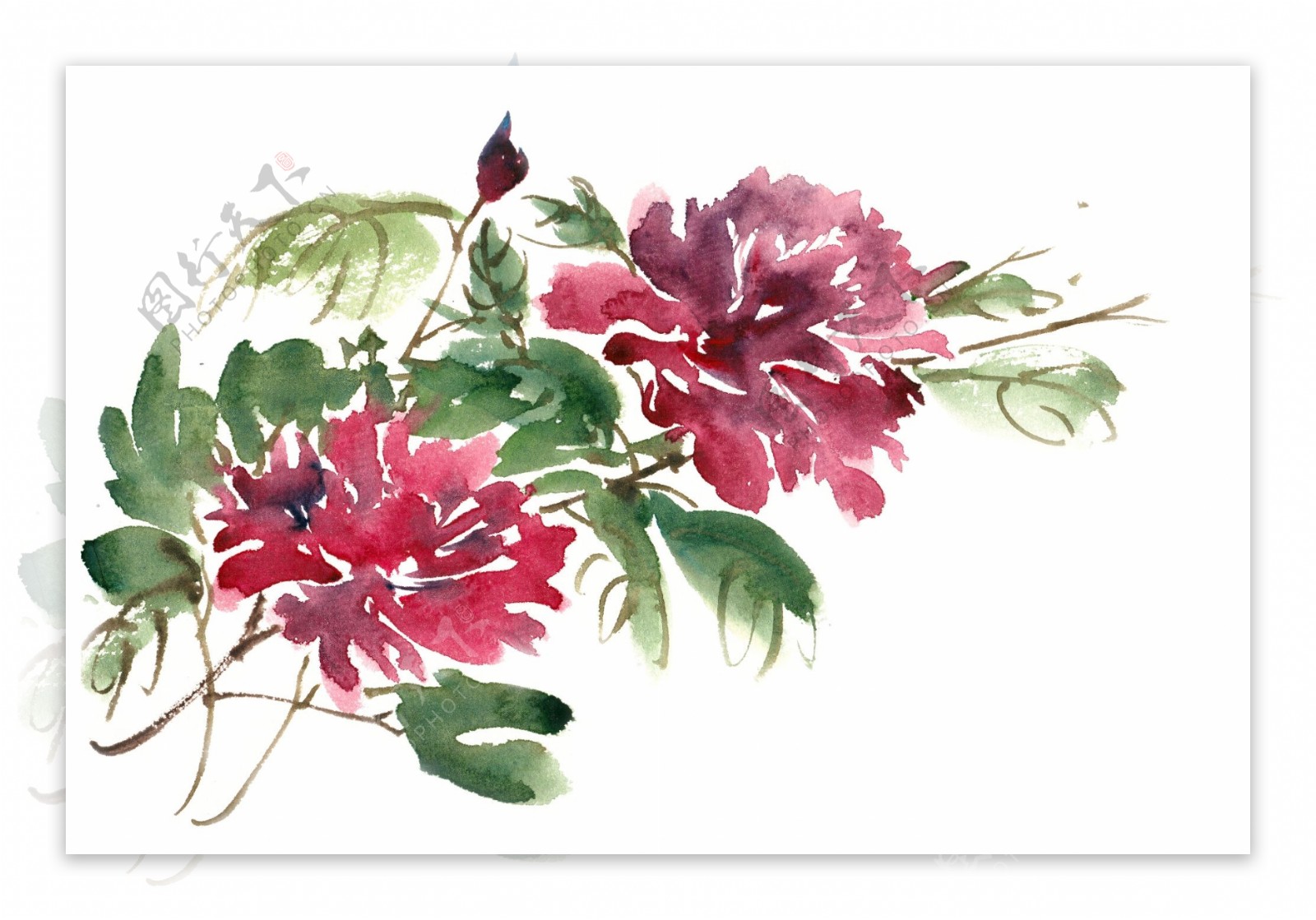 鲜艳的花卉水彩画PNG免抠素材