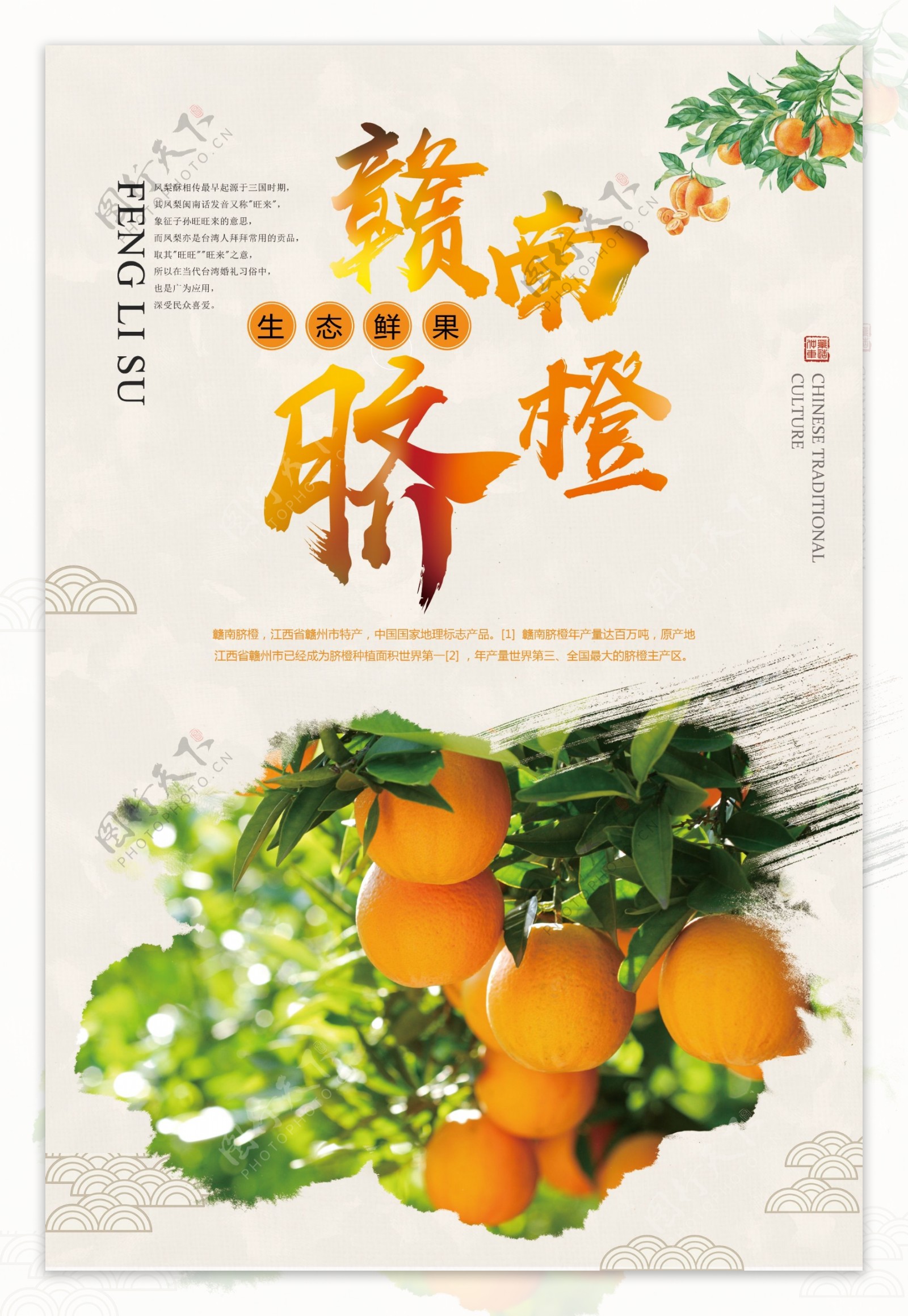 中国风赣南脐橙促销宣传海报