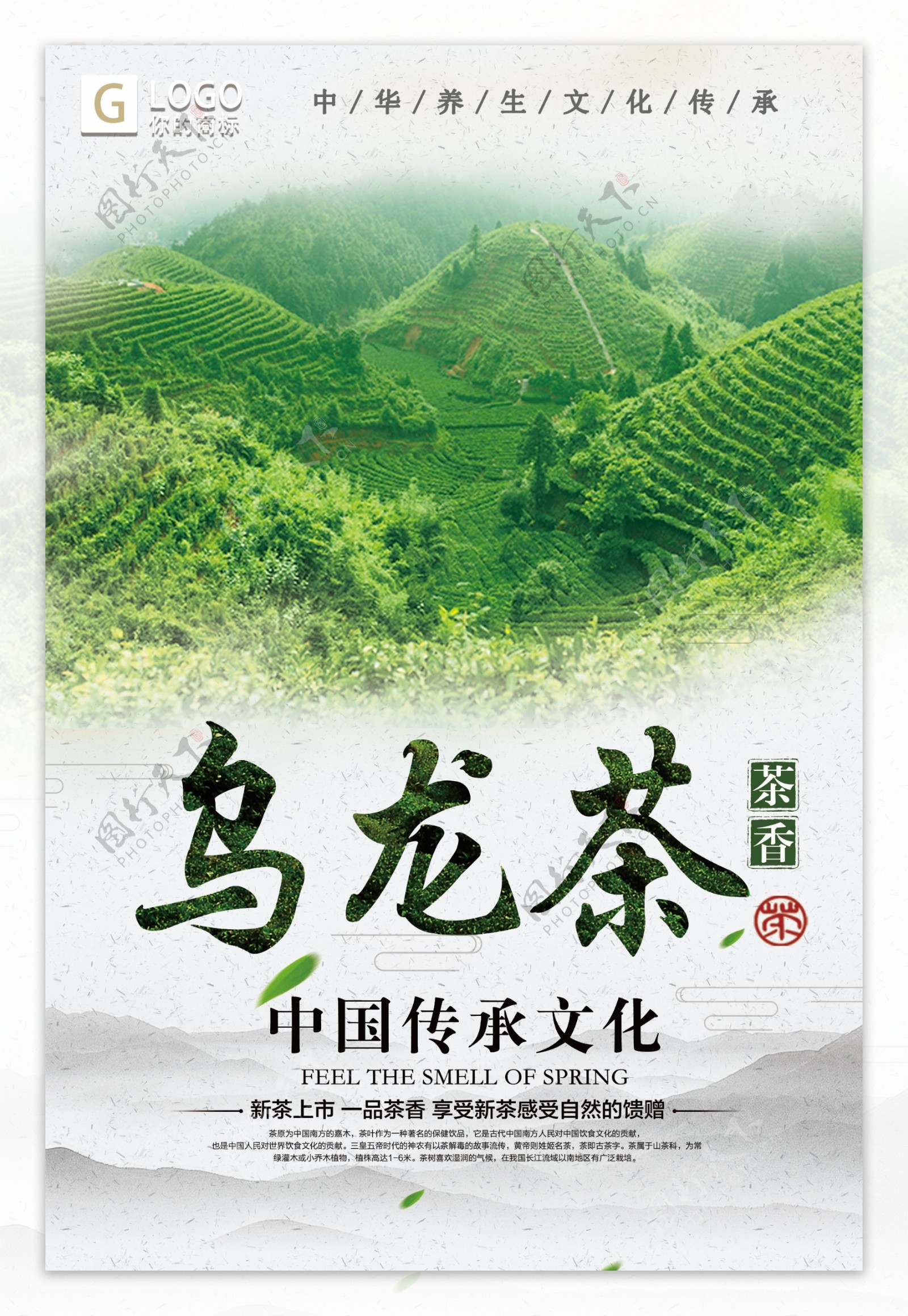 中国风时尚大气乌龙茶创意宣传海报设计