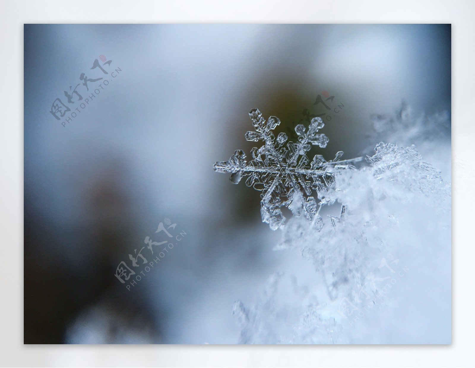 雪花