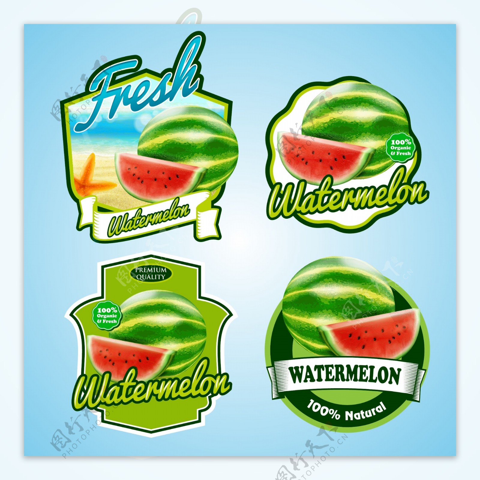 卡通水果西瓜标签矢量图标素材