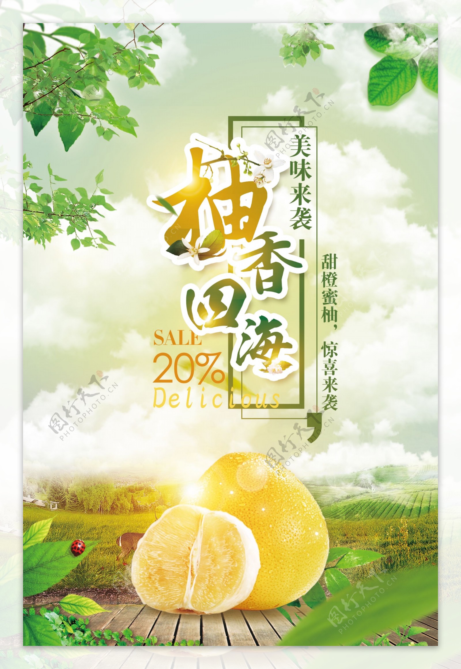夏日柚子水果海报