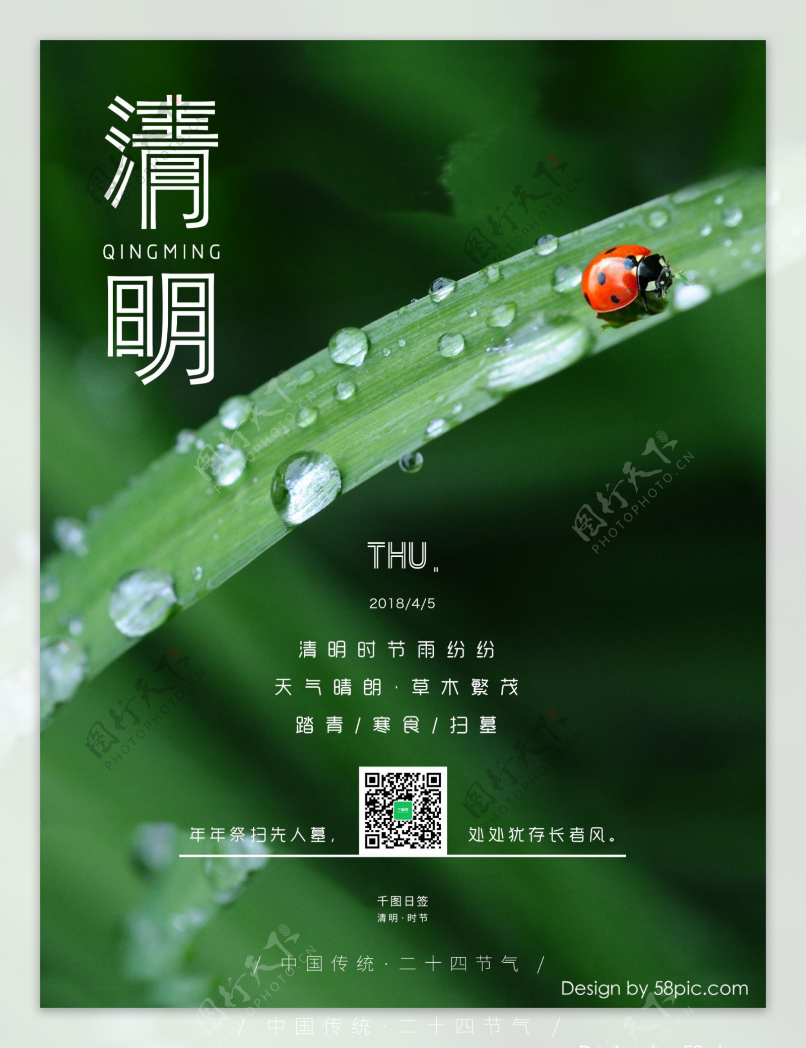 绿叶瓢虫中国传统节日二十四节气清明日签