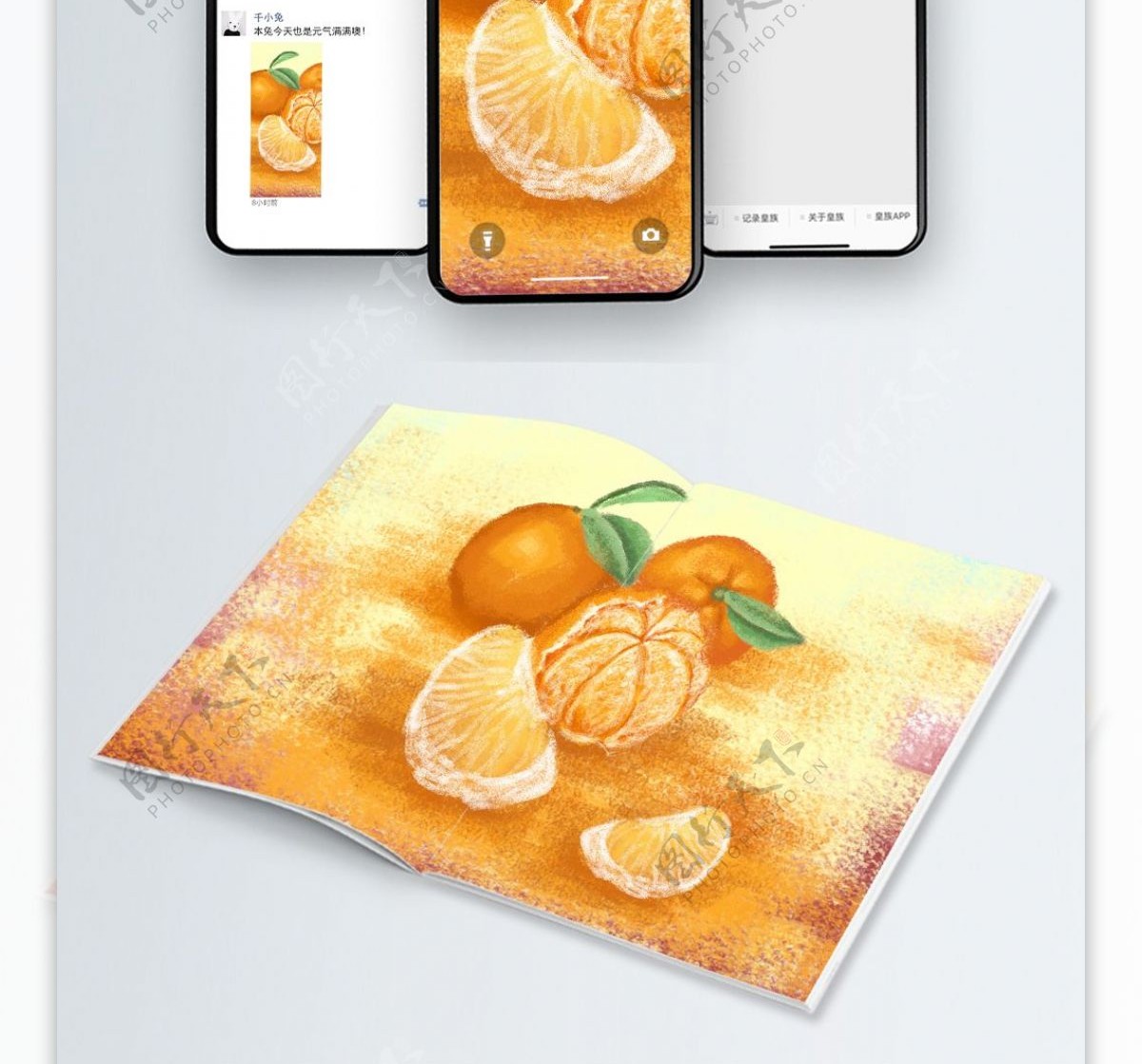 手绘写实水果橘子美食夏天插画