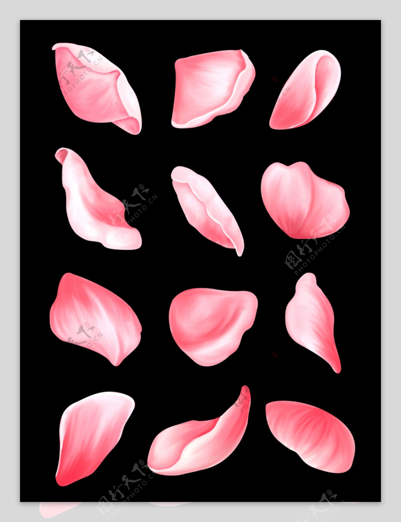 小清新手绘植物免抠花瓣图案元素