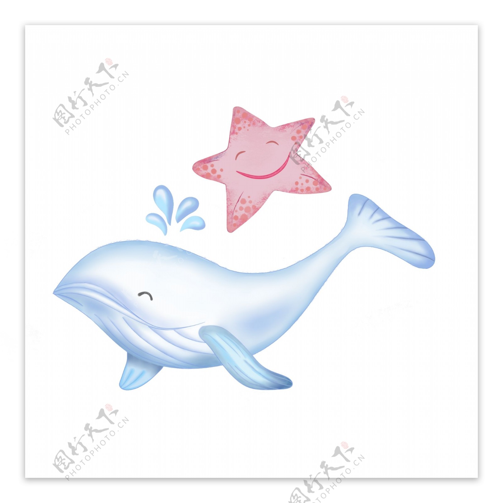 海星海豚动物海底世界可商用