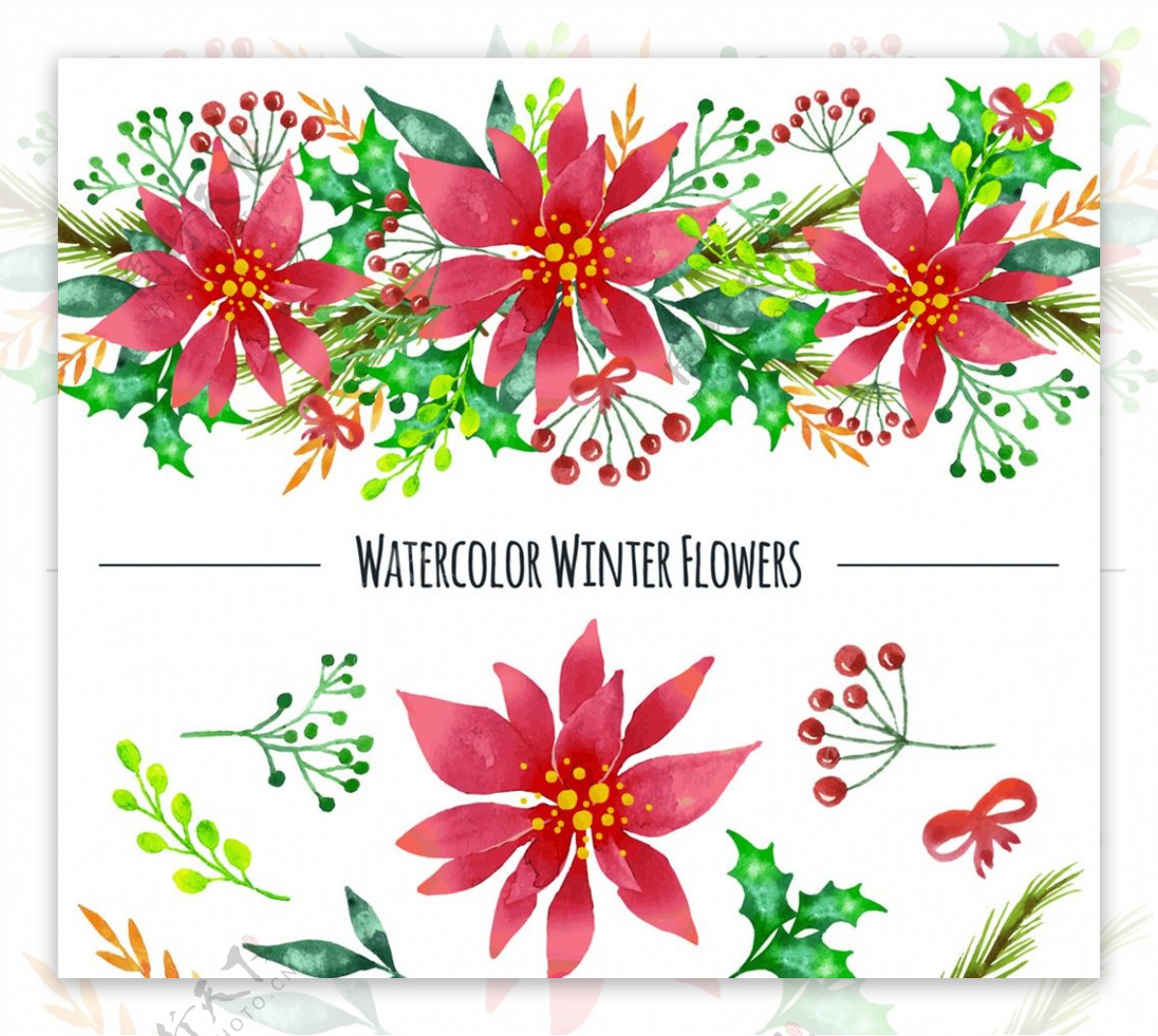 水彩绘冬季植物和花边矢量素材