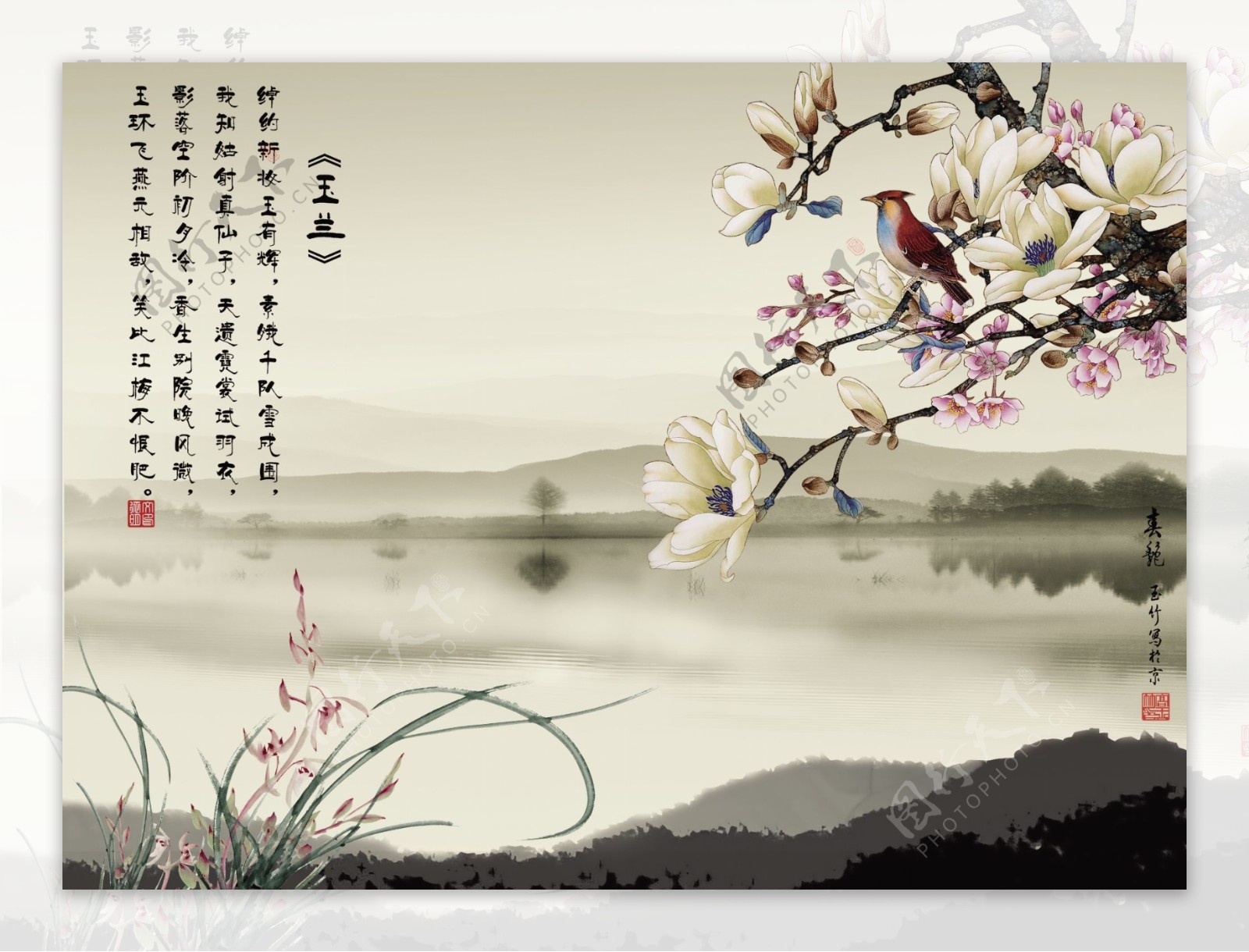 中国风淡色山水玉兰花画