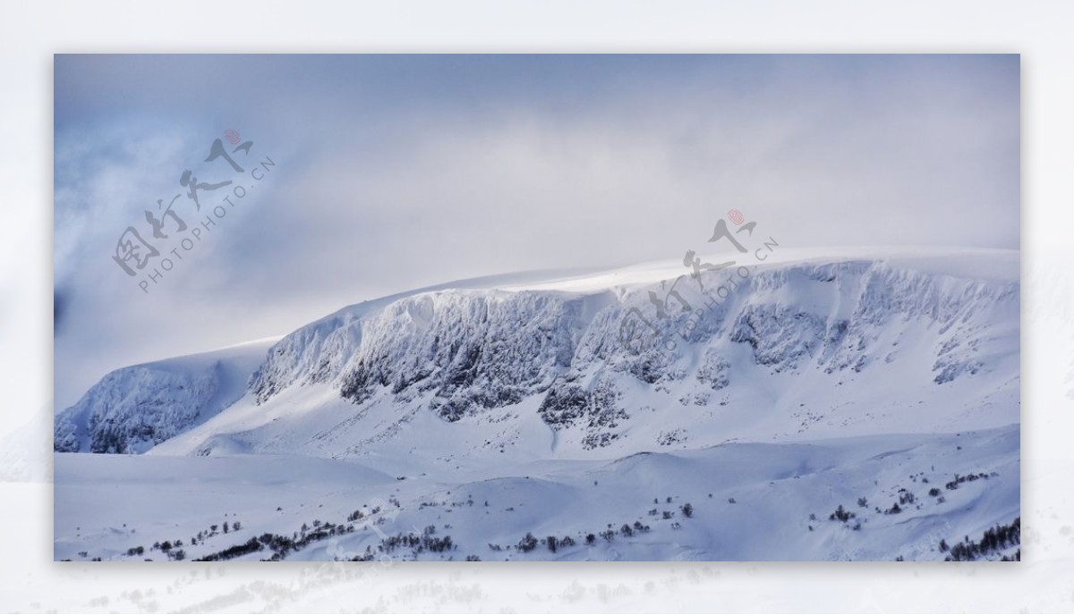 雪景